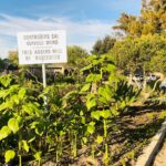 WhatsApp Image 2023-04-26 at 09.09.18